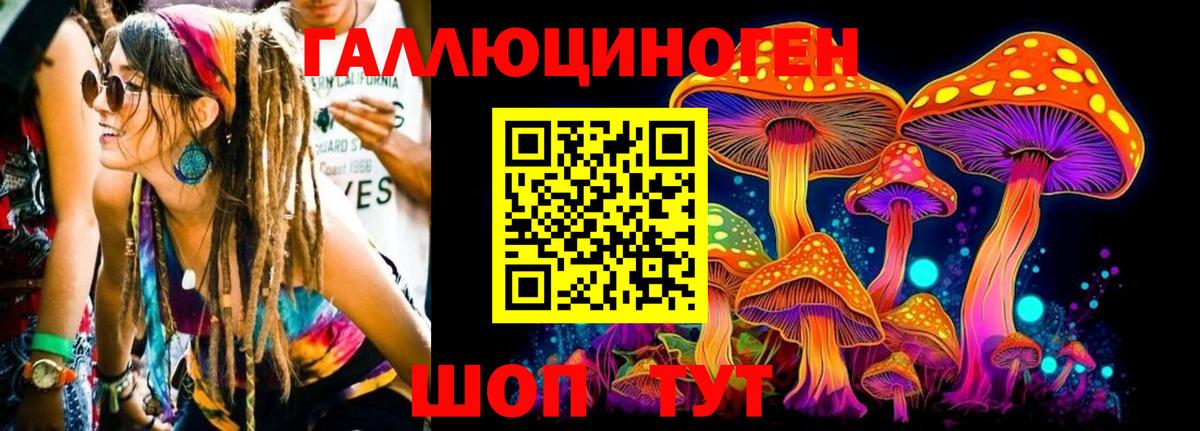 Псилоцибиновые грибы мицелий  Галлюциногенные грибы GOLDEN TEACHER  Самара  Вход с VPN 